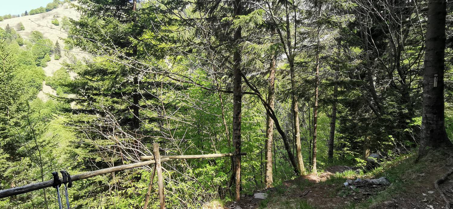 Drežnica - Bivak na Črniku slika 49