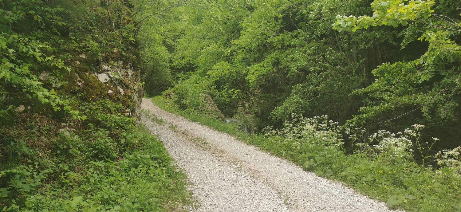 Parkirišče pred Podbrdom - Driselpoh slika 3