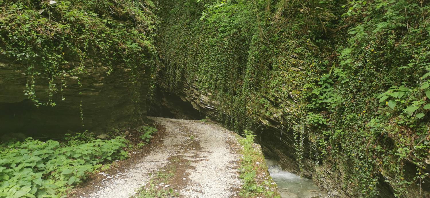 Parkirišče pred Podbrdom - Driselpoh slika 5