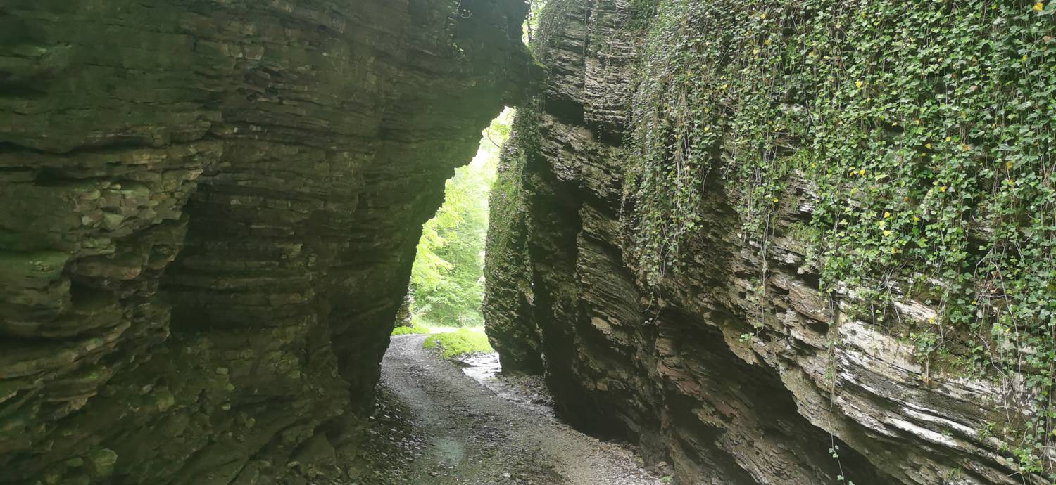 Parkirišče pred Podbrdom - Driselpoh slika 6