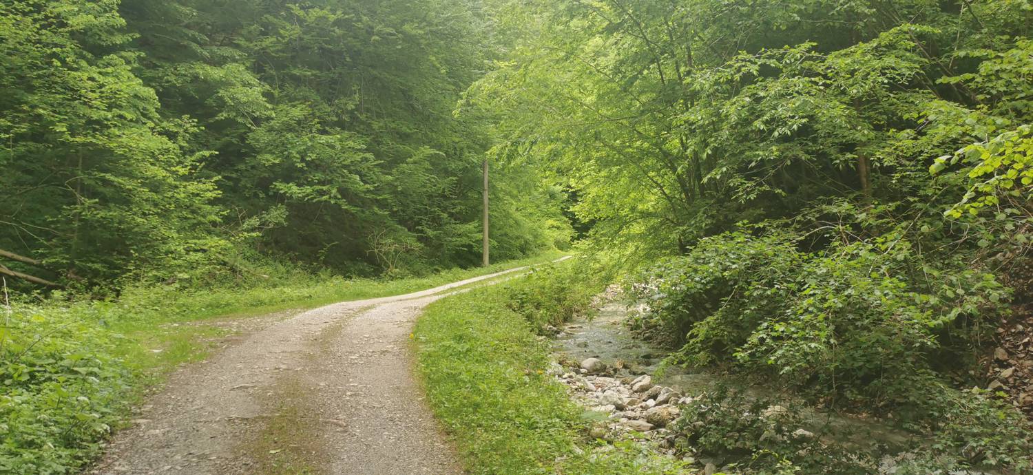 Parkirišče pred Podbrdom - Driselpoh slika 7