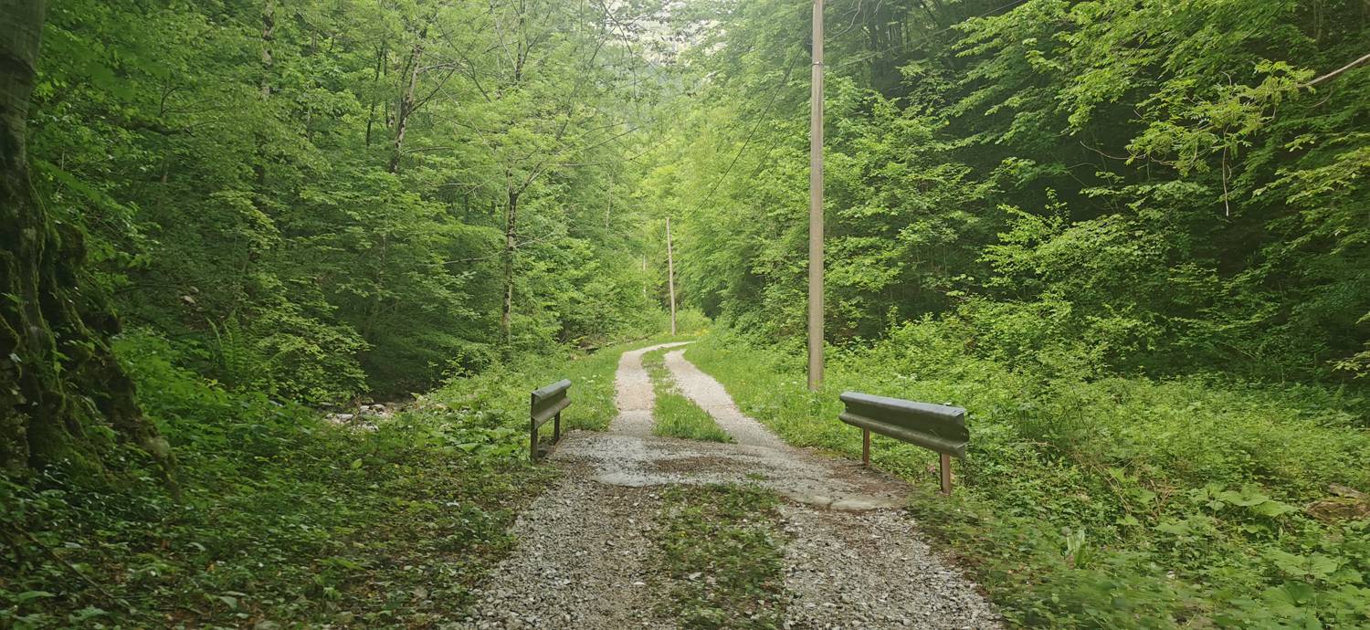 Parkirišče pred Podbrdom - Driselpoh slika 8
