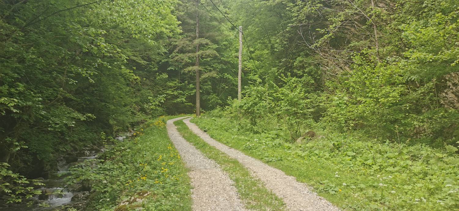 Parkirišče pred Podbrdom - Driselpoh slika 10