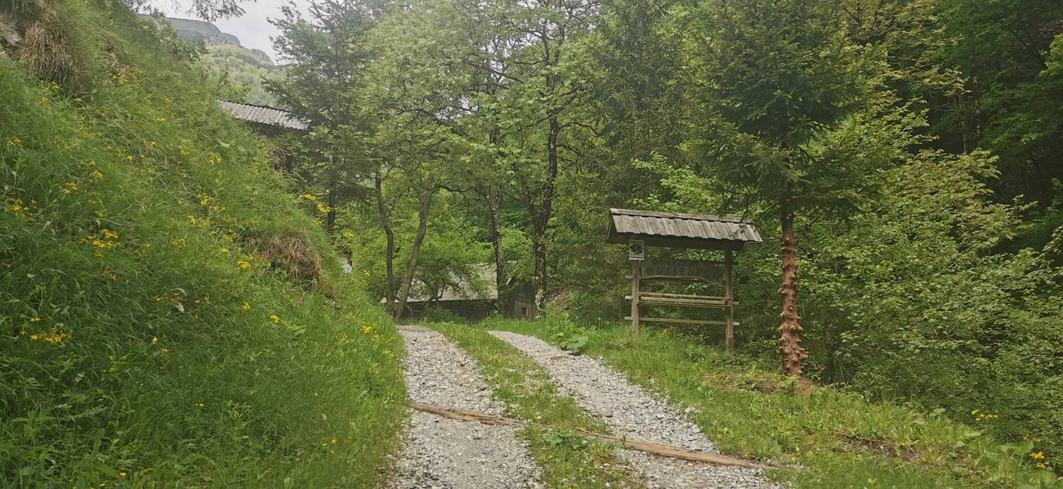 Parkirišče pred Podbrdom - Driselpoh slika 11
