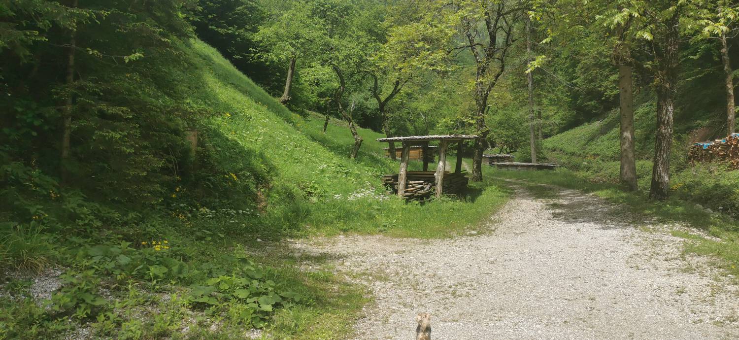 Parkirišče pred Podbrdom - Driselpoh slika 12