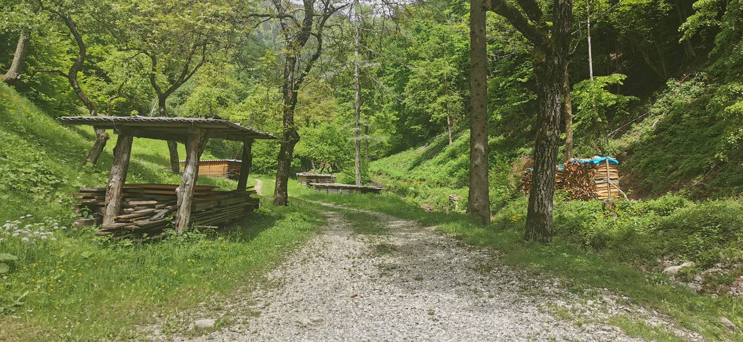 Parkirišče pred Podbrdom - Driselpoh slika 13