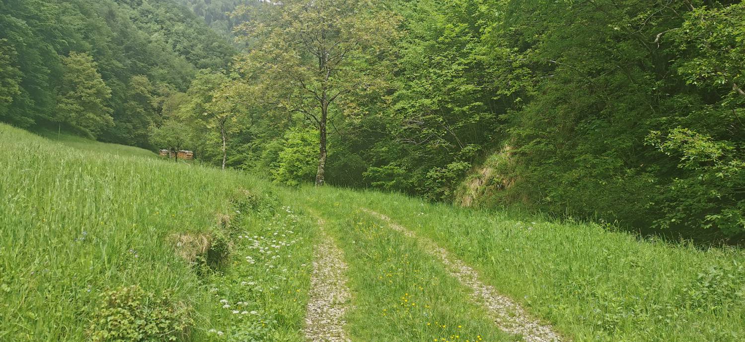 Parkirišče pred Podbrdom - Driselpoh slika 14