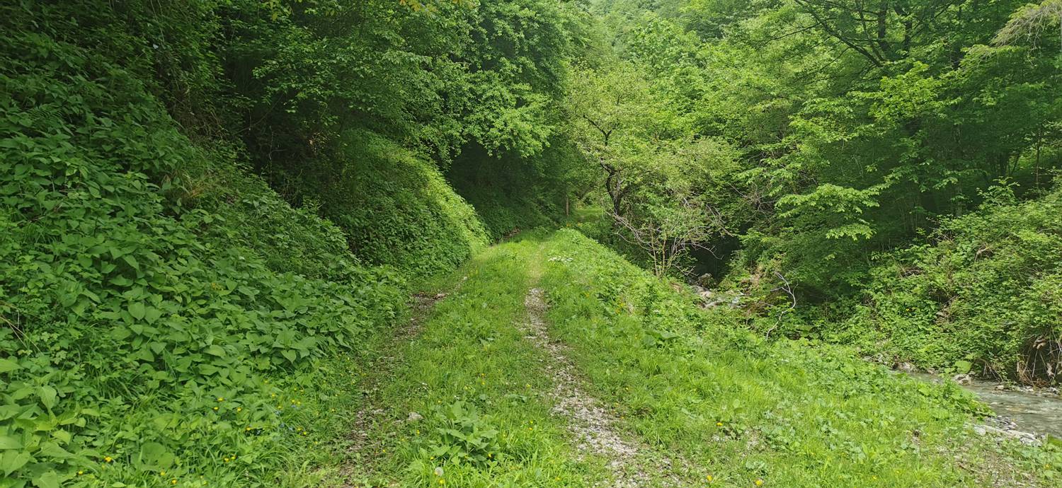 Parkirišče pred Podbrdom - Driselpoh slika 15