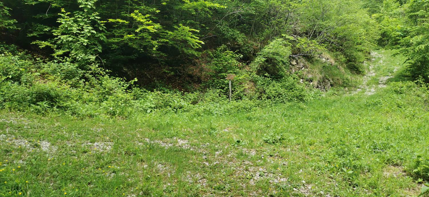 Parkirišče pred Podbrdom - Driselpoh slika 16