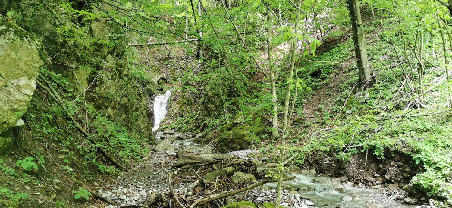 Parkirišče pred Podbrdom - Driselpoh slika 19