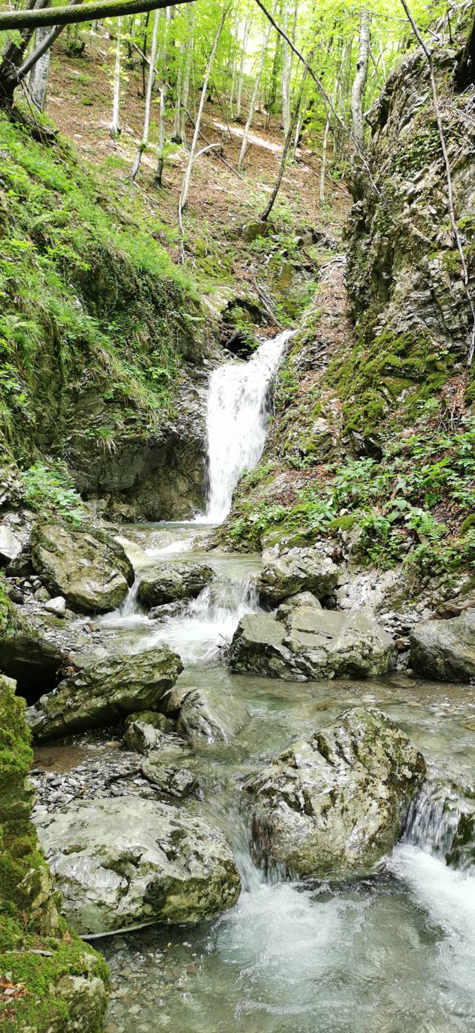 Parkirišče pred Podbrdom - Driselpoh slika 21