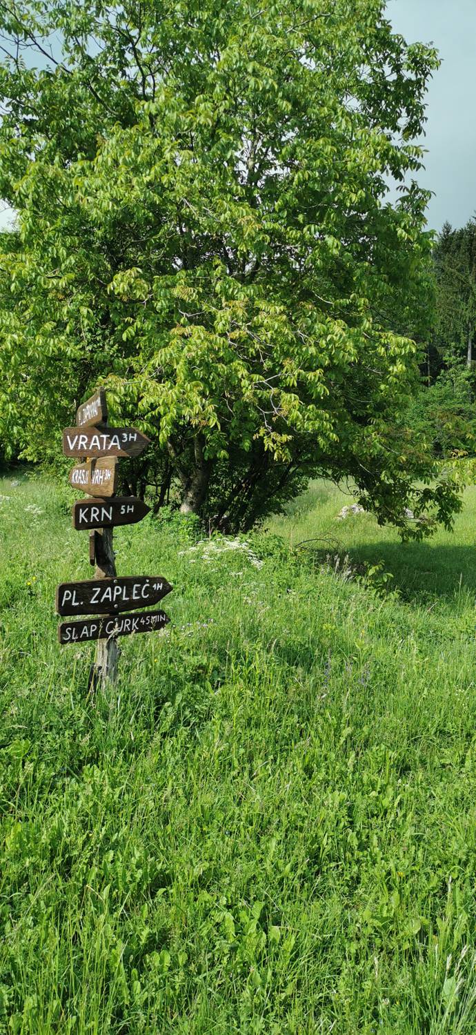 Drežniške Ravne - Slap Curk slika 5