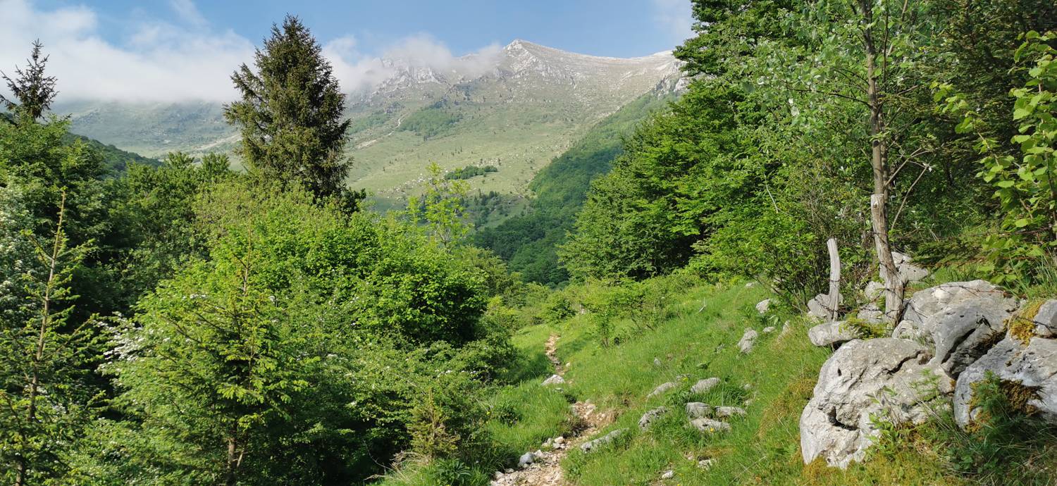 Drežniške Ravne - Slap Curk slika 21