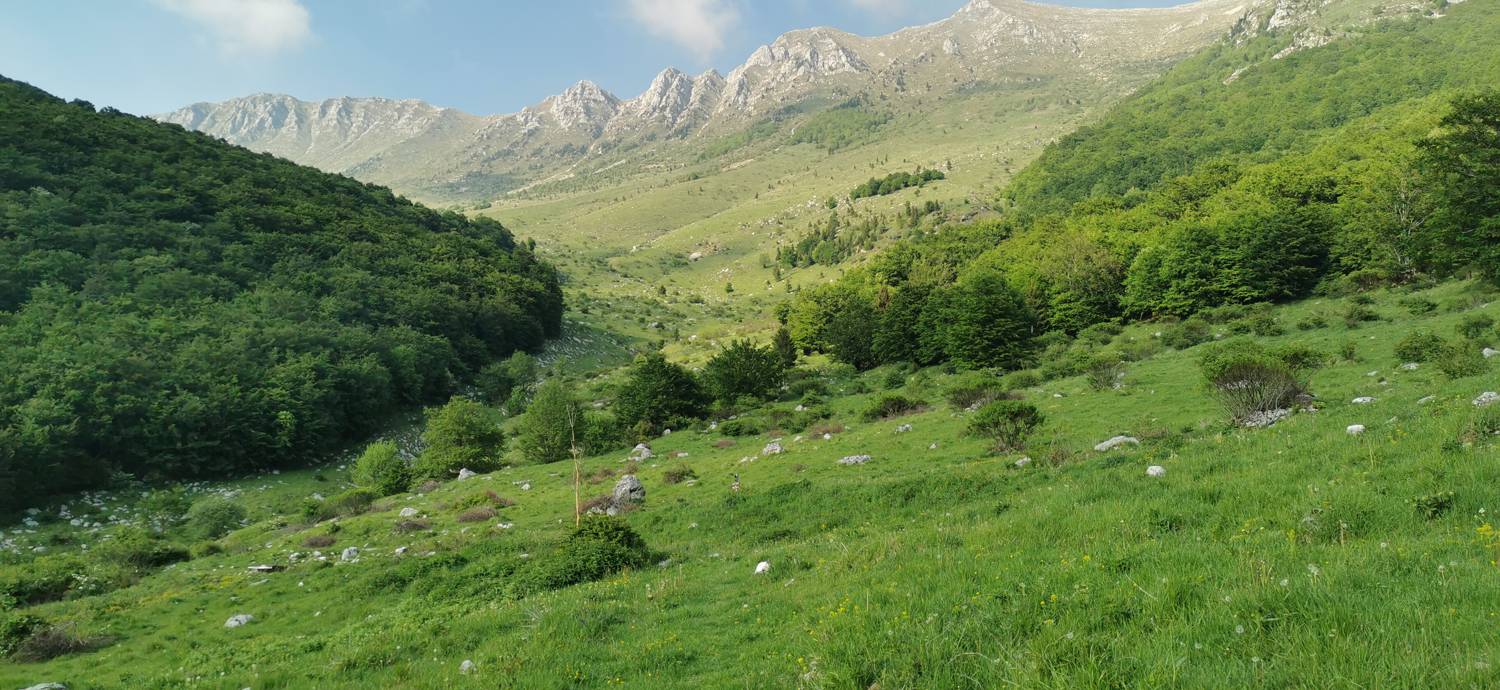 Drežniške Ravne - Slap Curk slika 22