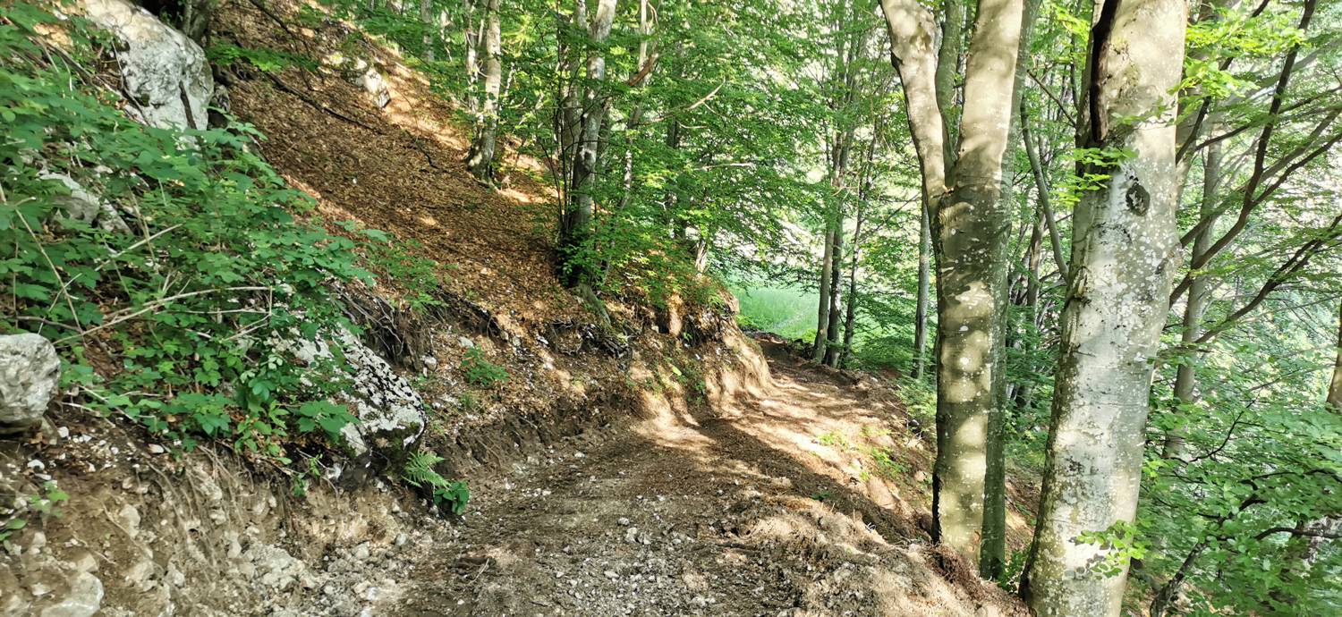 Drežniške Ravne - Slap Curk slika 32