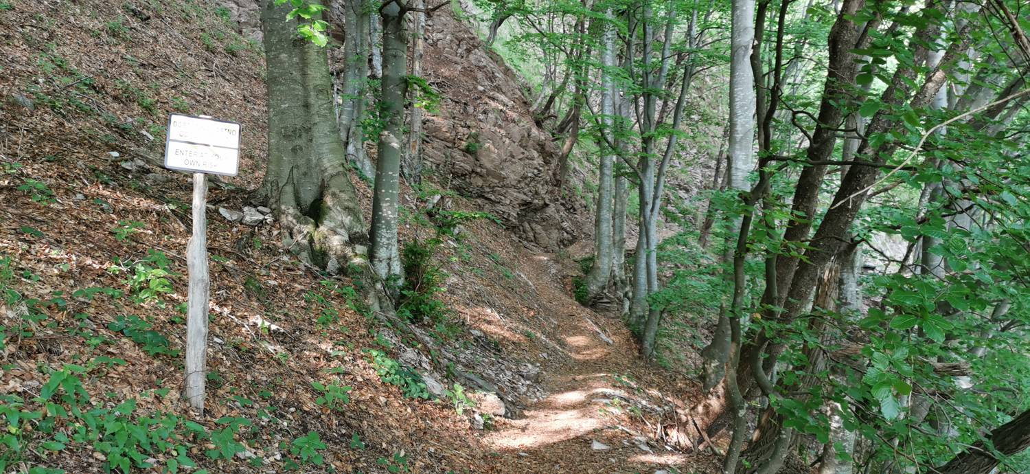 Drežniške Ravne - Slap Curk slika 35