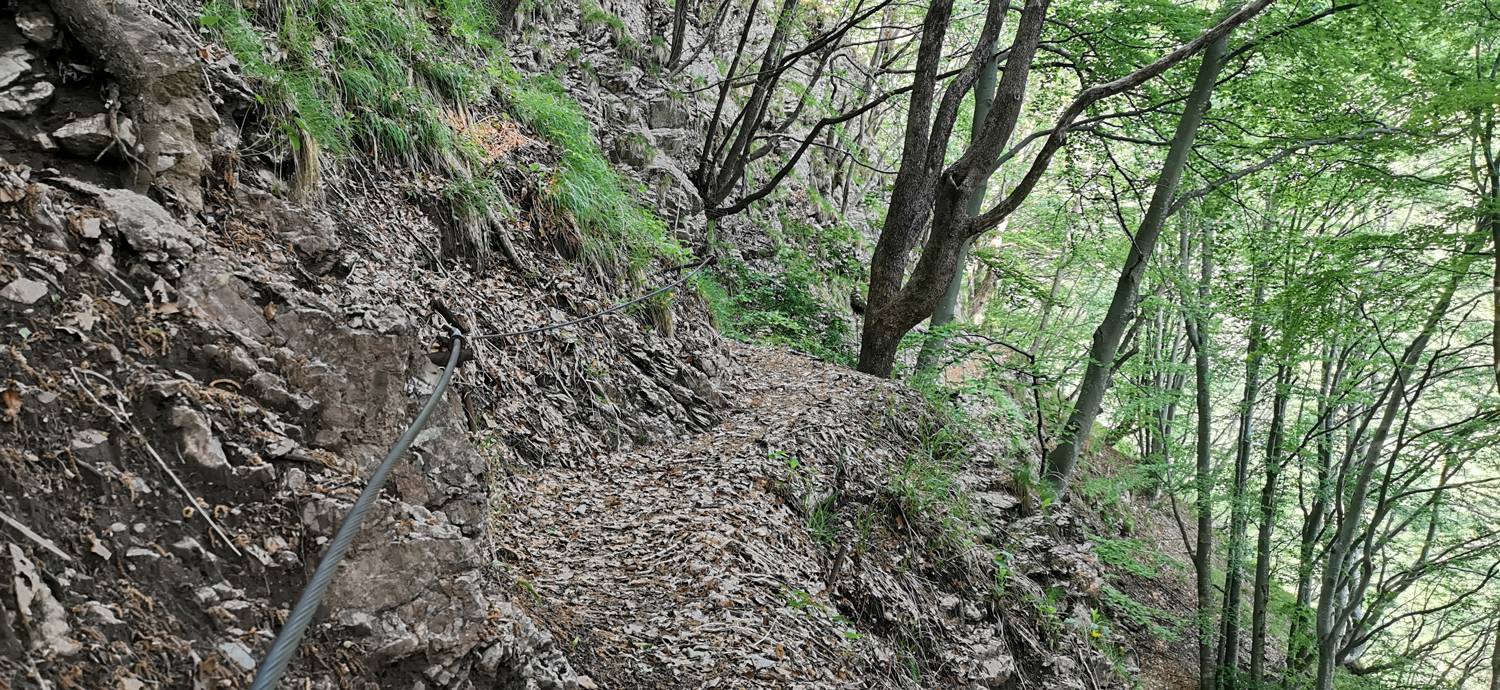 Drežniške Ravne - Slap Curk slika 37