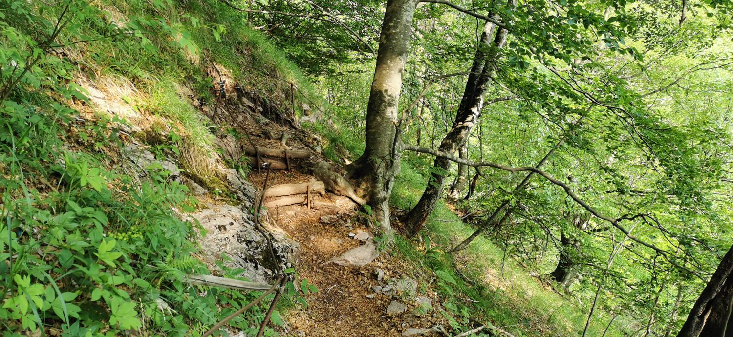 Drežniške Ravne - Slap Curk slika 40