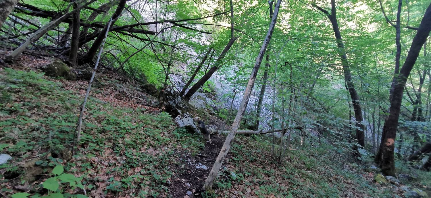 Kamno - Gregorčičev slap slika 37