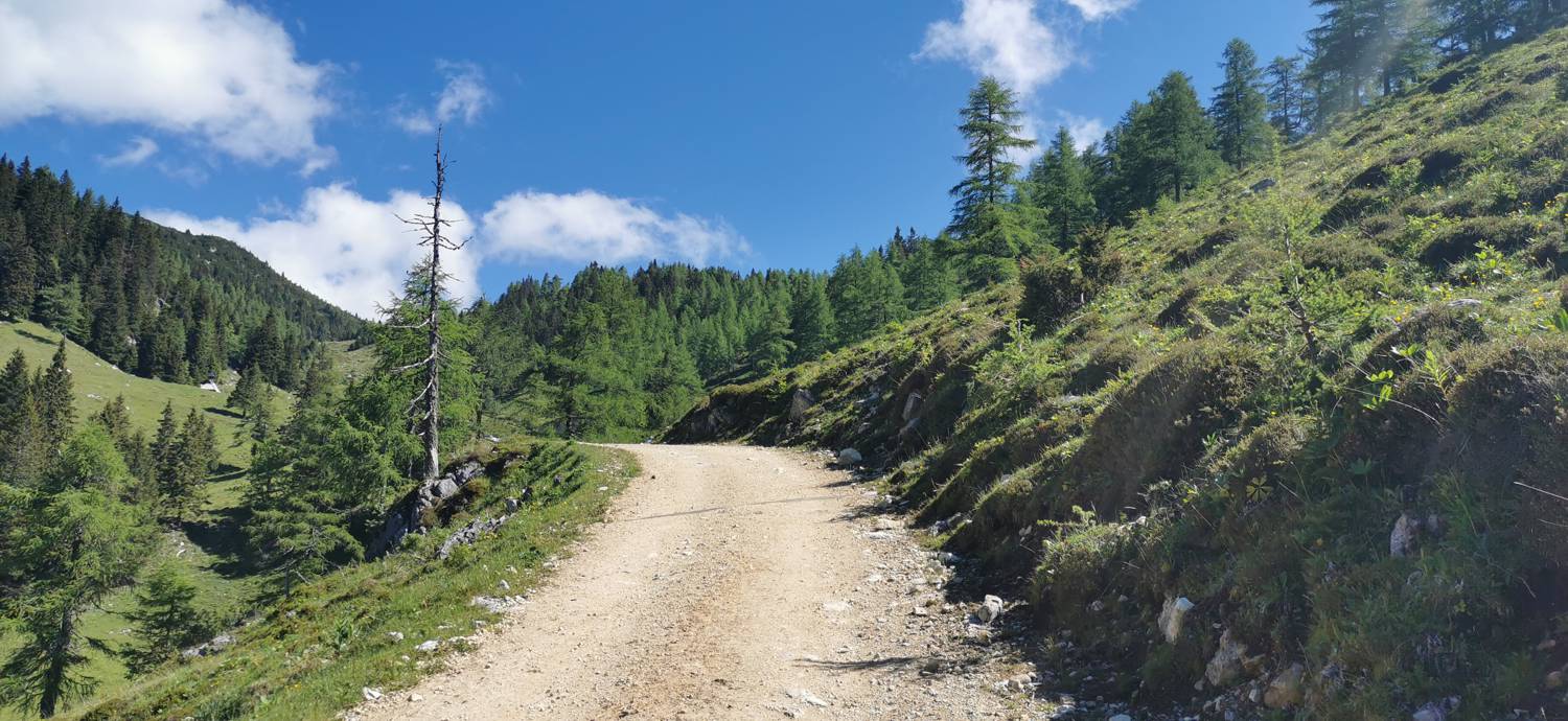 Planina Loka - Koča na Grohatu slika 2