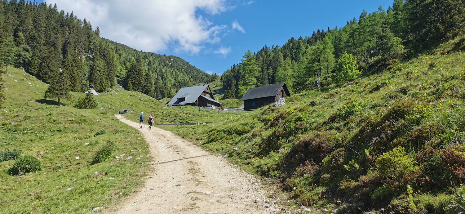 Planina Loka main photo