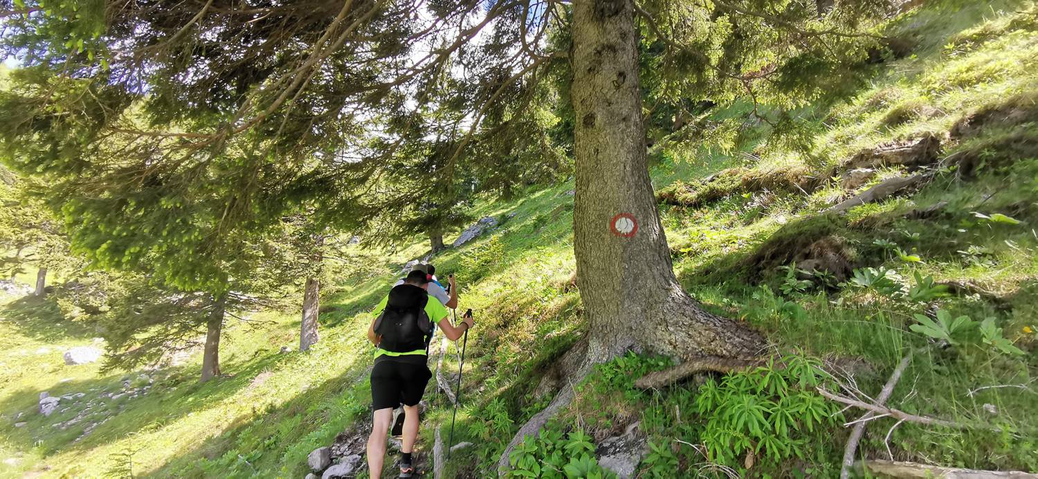 Planina Loka - Koča na Grohatu slika 7