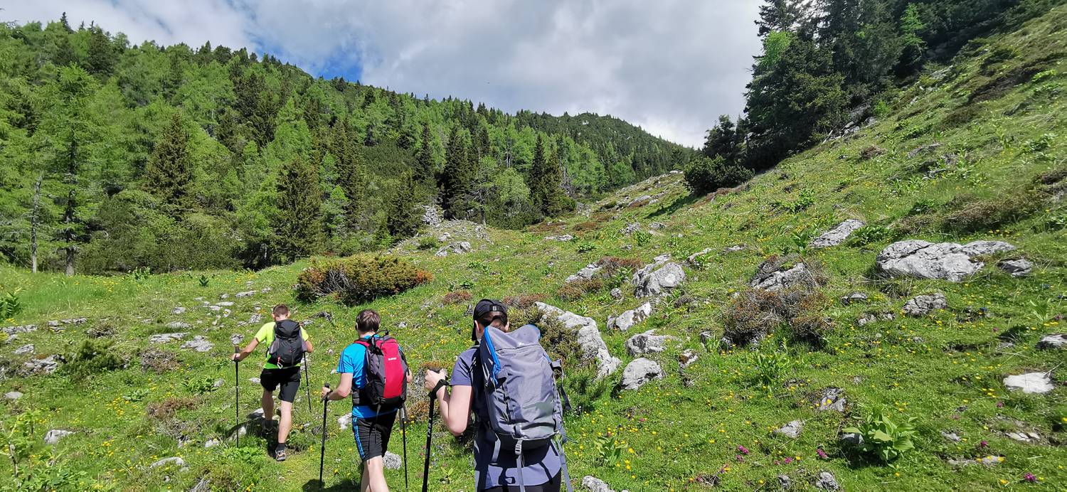 Planina Loka - Koča na Grohatu slika 8