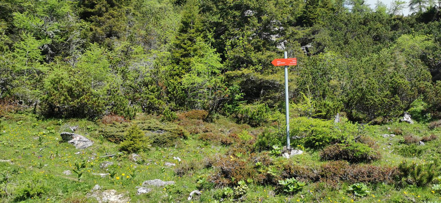 Planina Loka - Koča na Grohatu slika 9