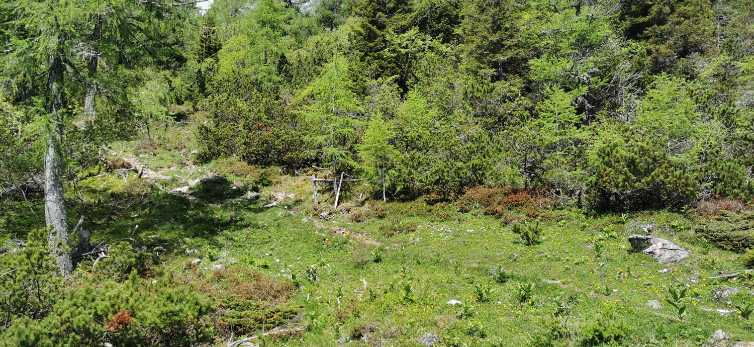 Planina Loka - Koča na Grohatu slika 10