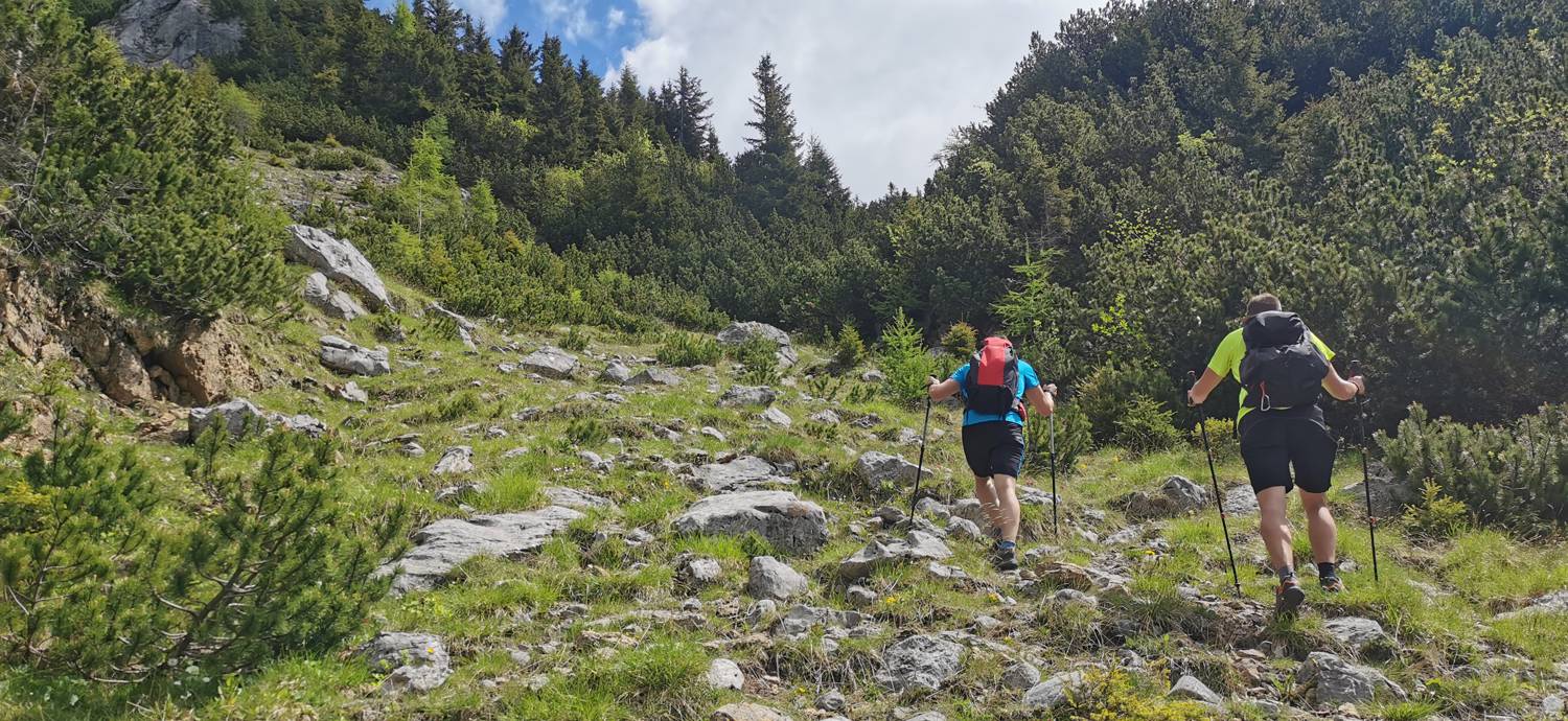 Planina Loka - Koča na Grohatu slika 11