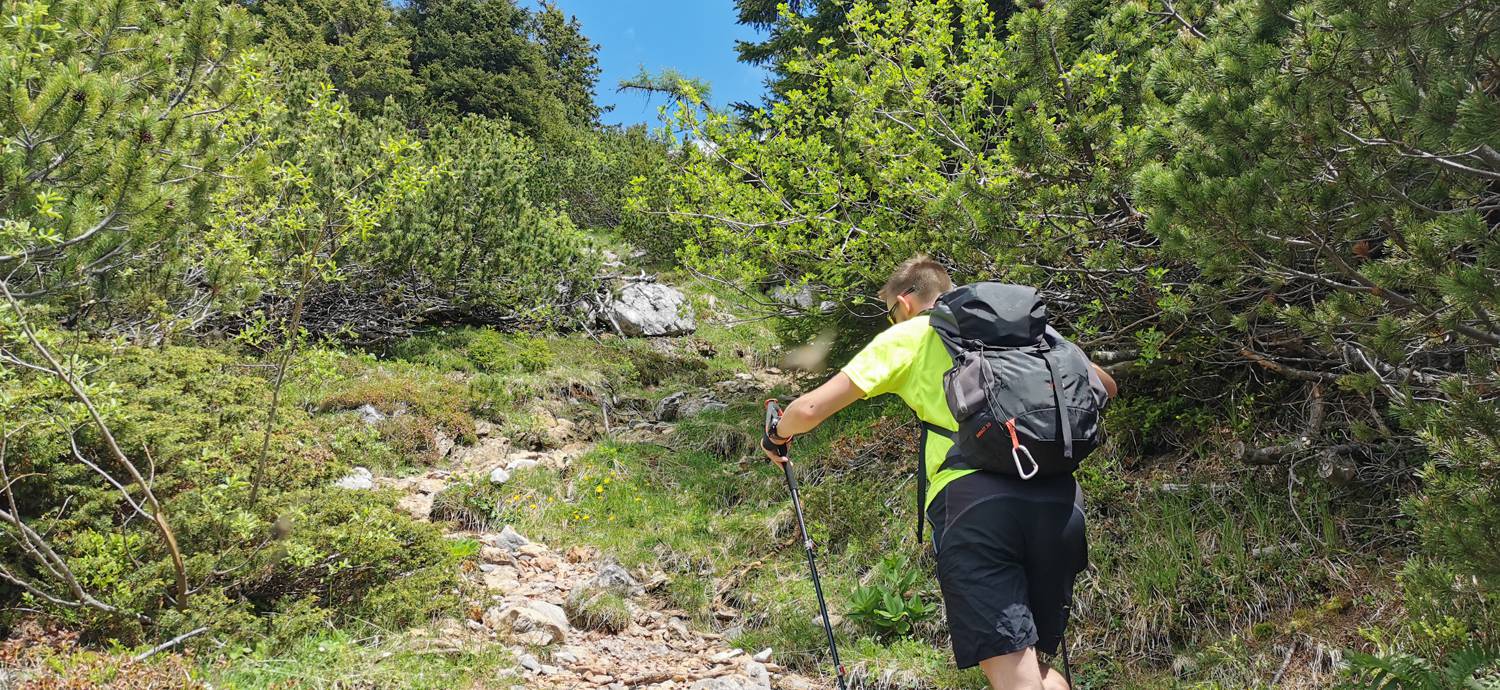 Planina Loka - Koča na Grohatu slika 12