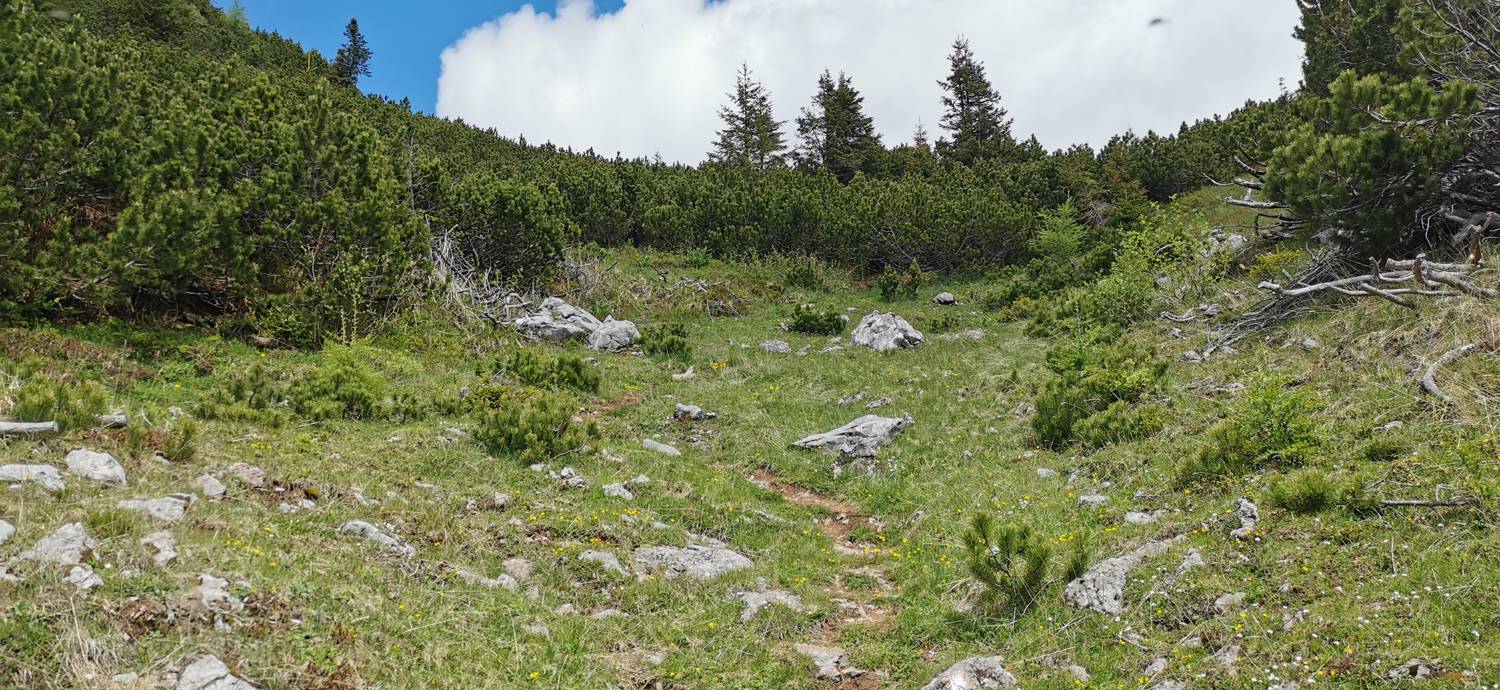 Planina Loka - Koča na Grohatu slika 13