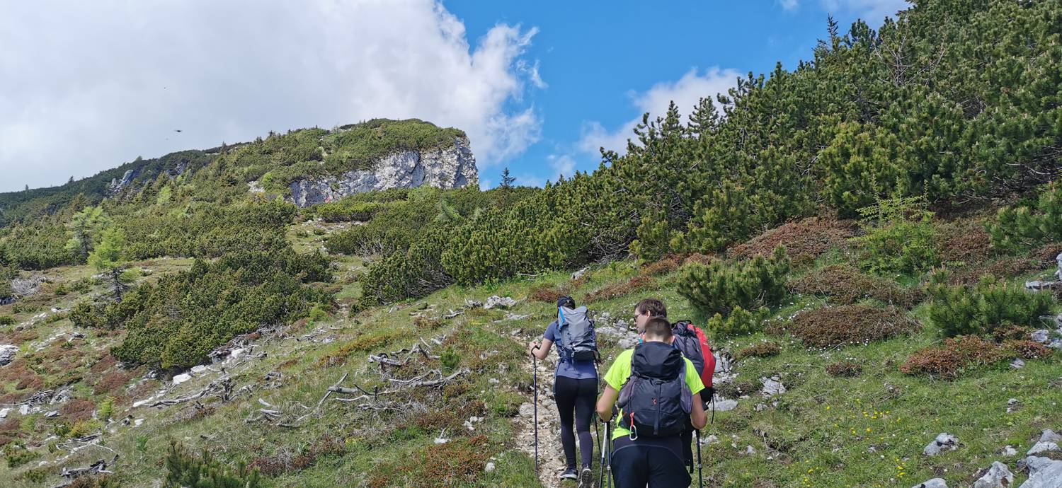 Planina Loka - Koča na Grohatu slika 14