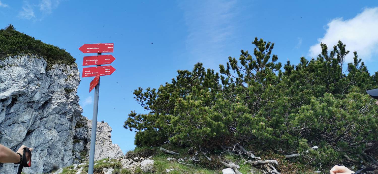 Planina Loka - Koča na Grohatu slika 15