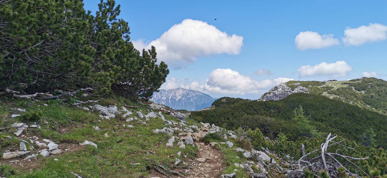 Planina Loka - Koča na Grohatu slika 16