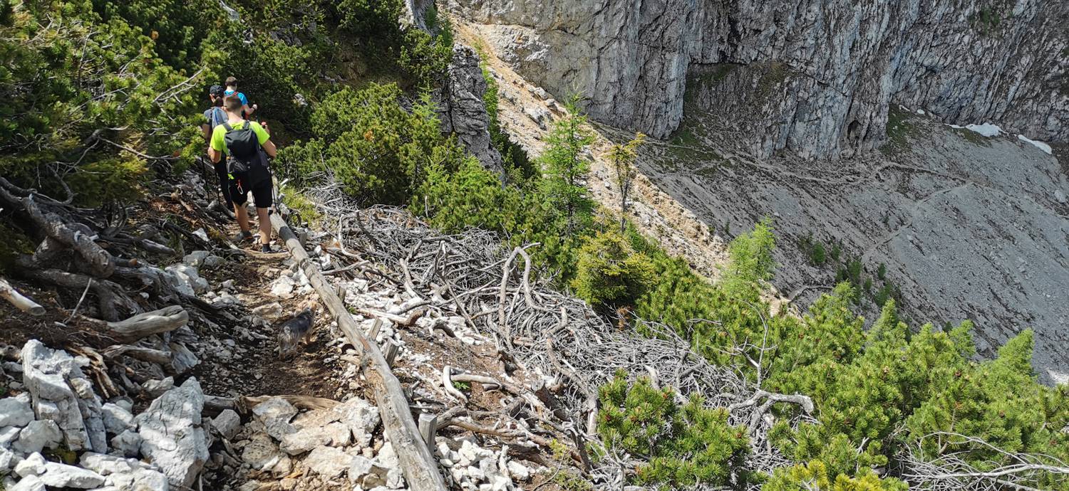 Planina Loka - Koča na Grohatu slika 21
