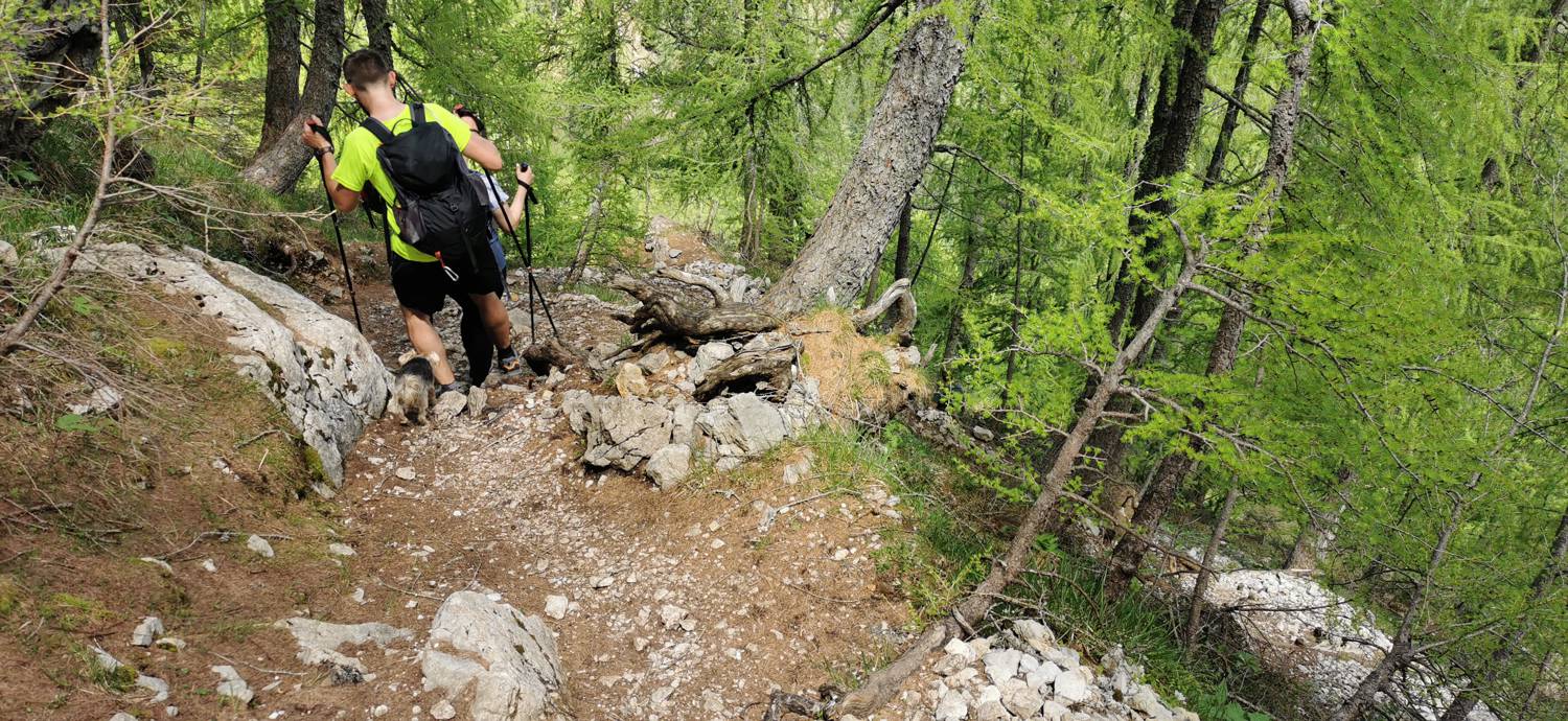 Planina Loka - Koča na Grohatu slika 24