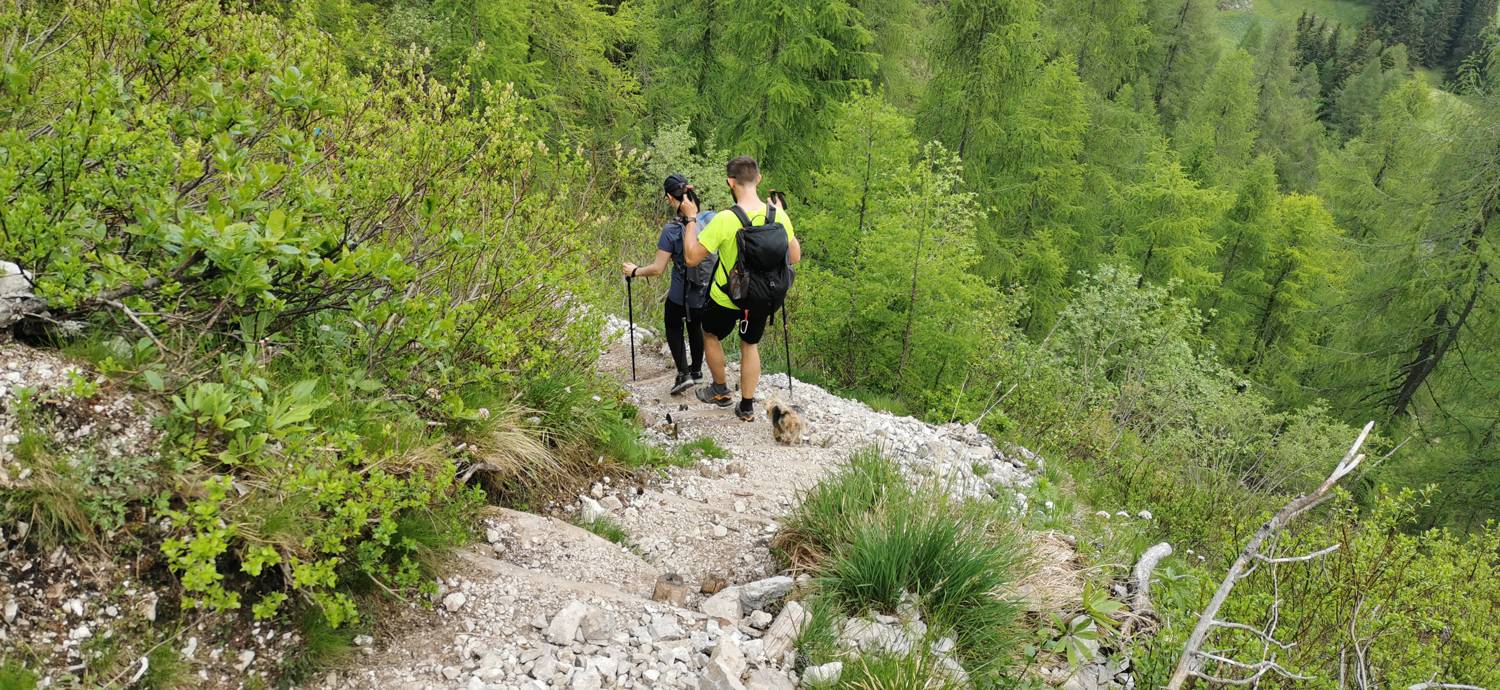 Planina Loka - Koča na Grohatu slika 26
