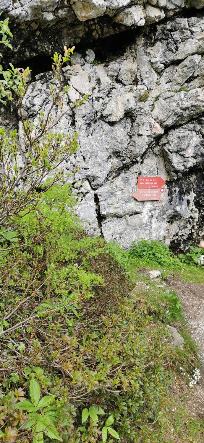Planina Loka - Koča na Grohatu slika 27
