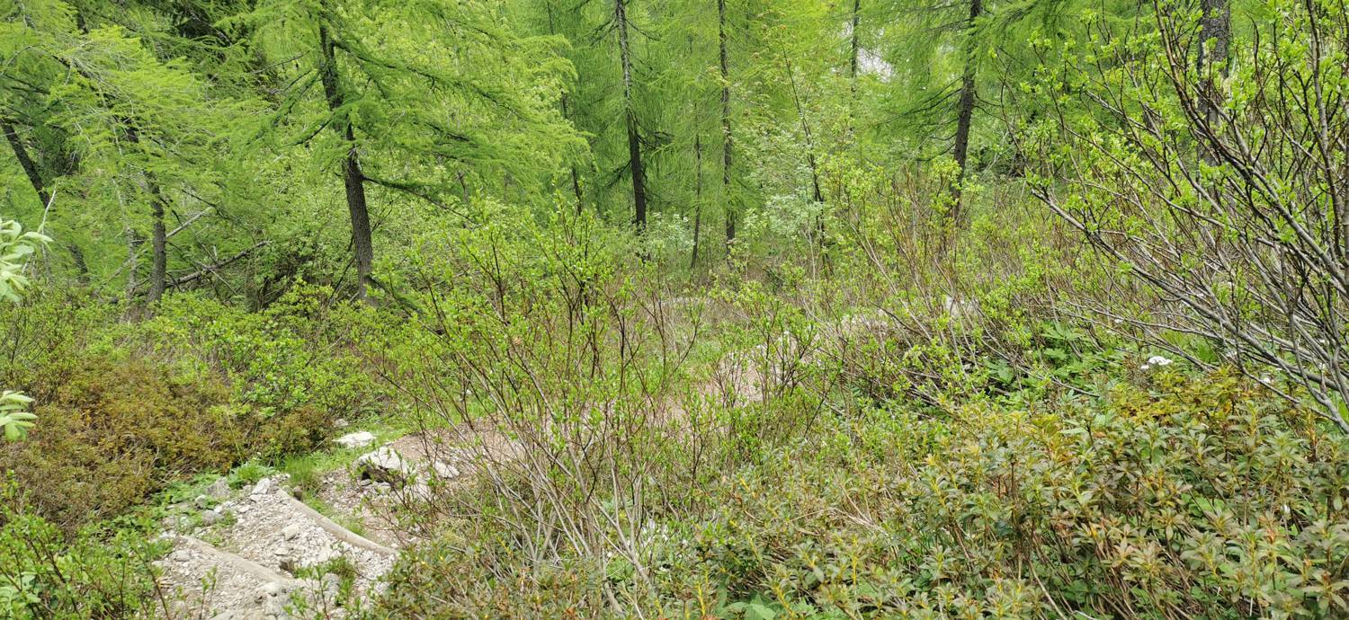 Planina Loka - Koča na Grohatu slika 28