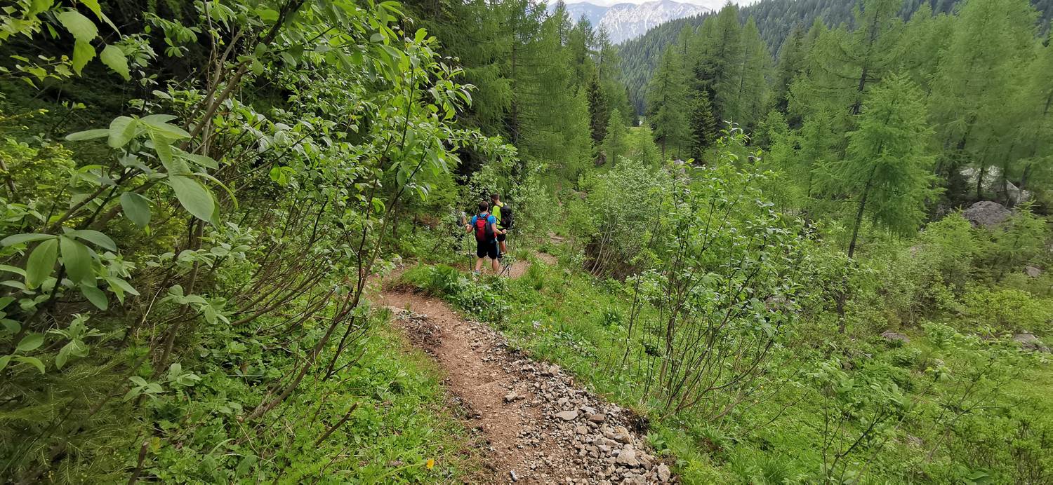 Planina Loka - Koča na Grohatu slika 29
