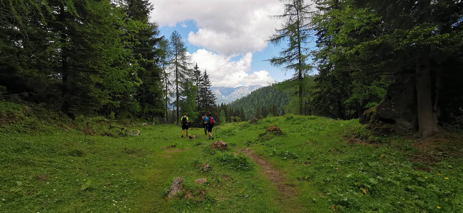 Planina Loka - Koča na Grohatu slika 30