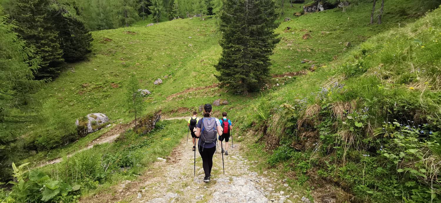 Planina Loka - Koča na Grohatu slika 32