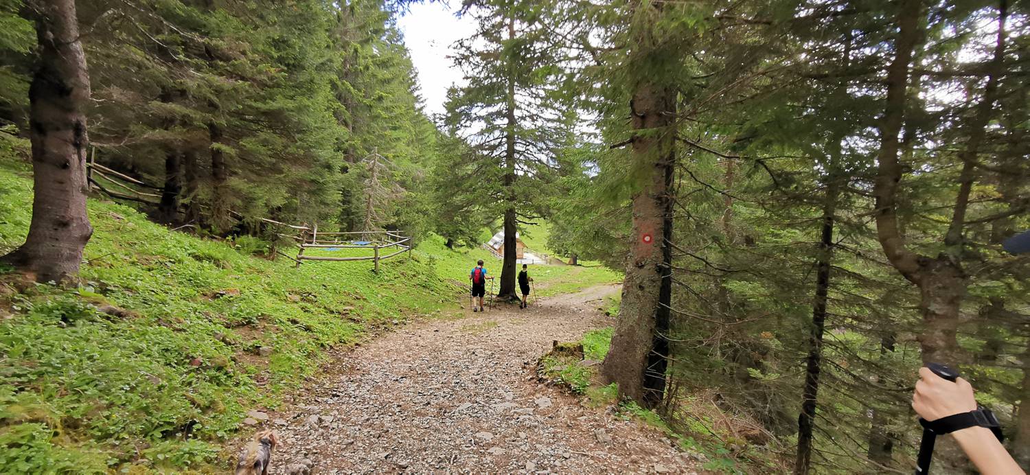 Planina Loka - Koča na Grohatu slika 33