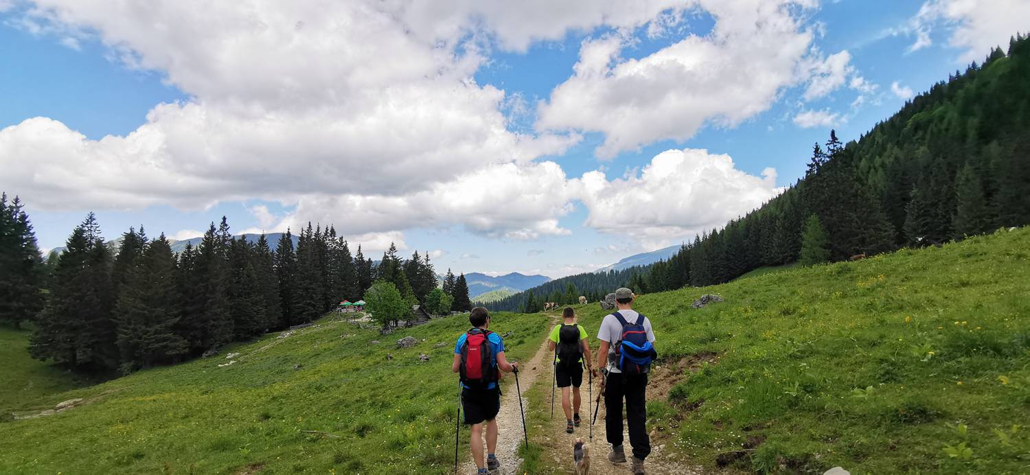 Planina Loka - Koča na Grohatu slika 34