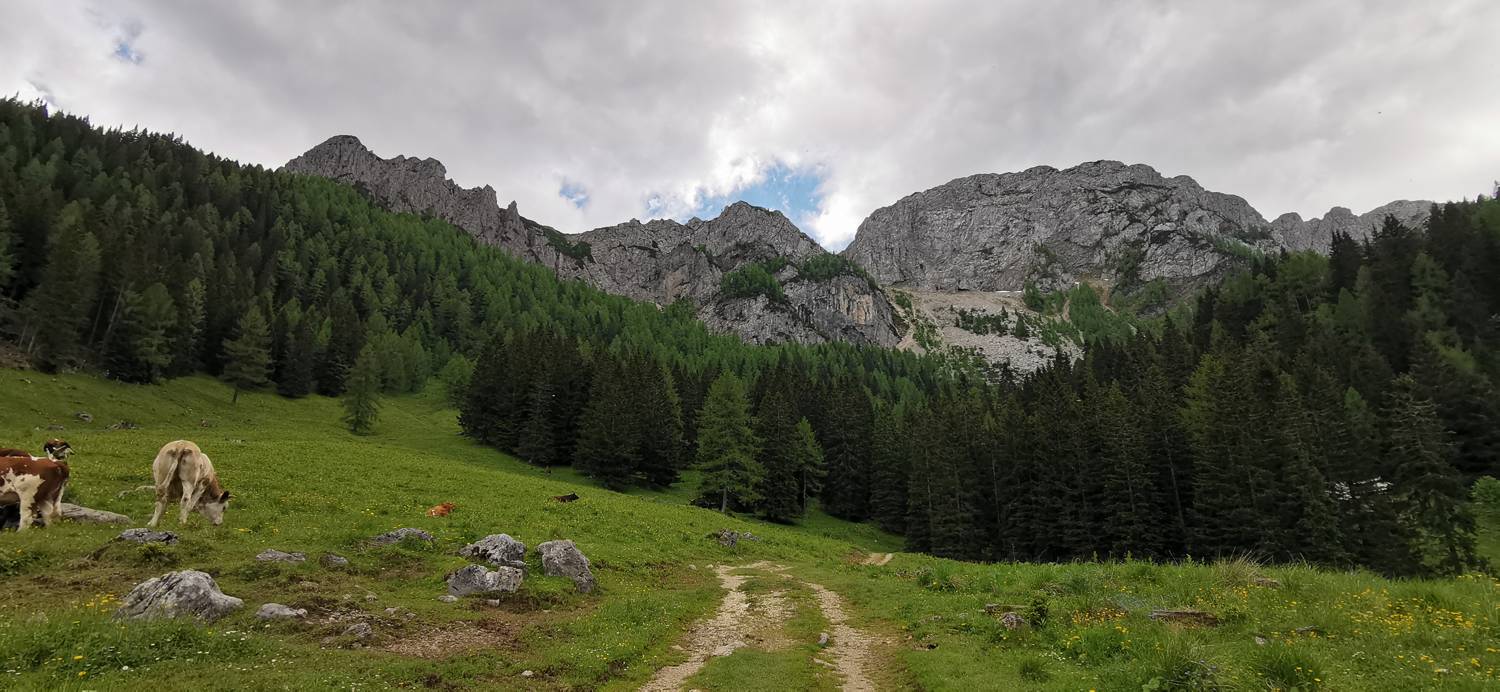 Planina Loka - Koča na Grohatu slika 37