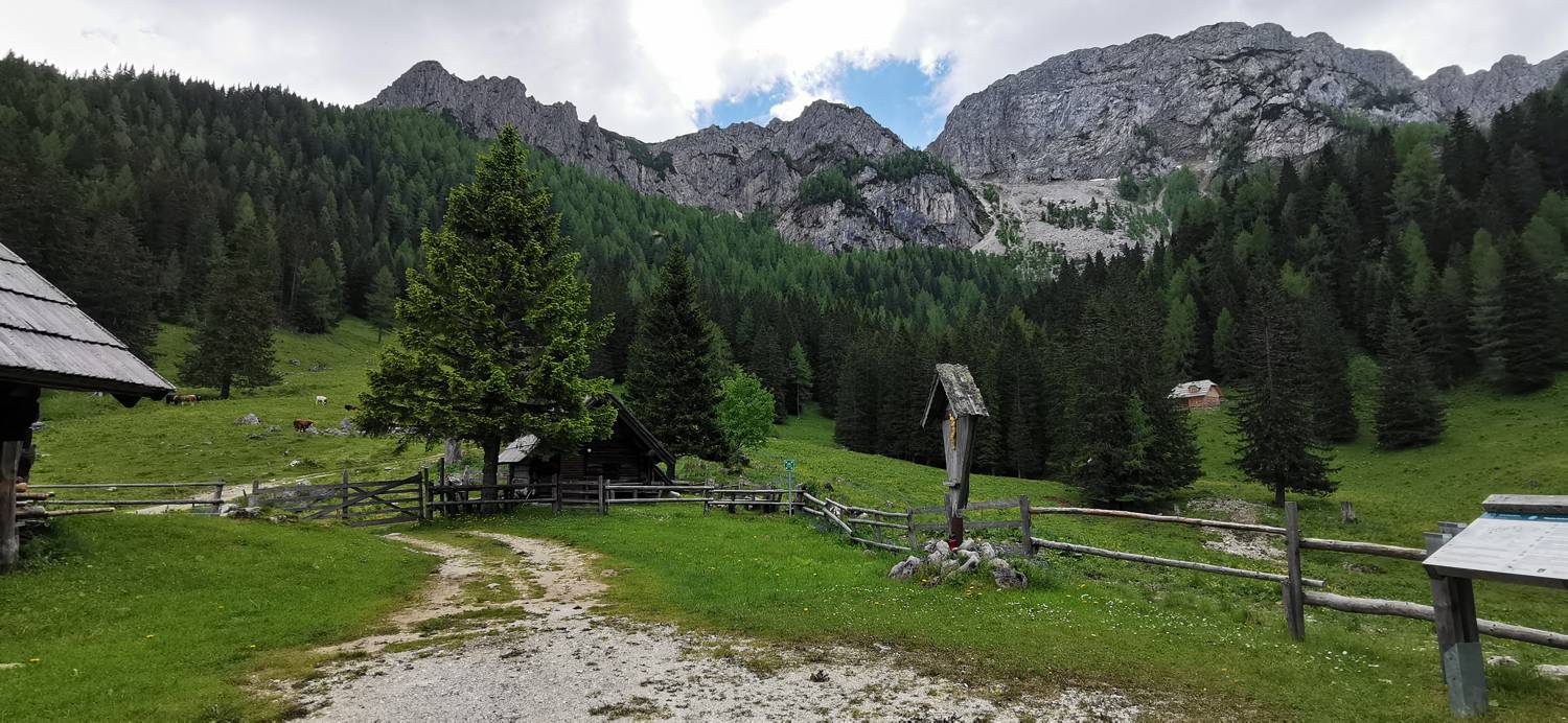 Planina Loka - Koča na Grohatu slika 41