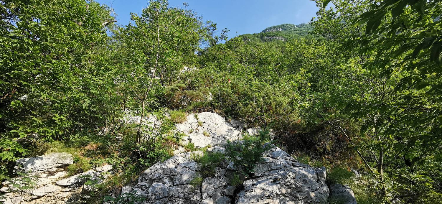 Parkirišče pri mostu Boka - Slap Boka slika 12