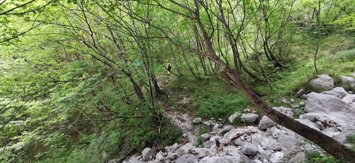 Parkirišče pri mostu Boka - Slap Boka slika 21