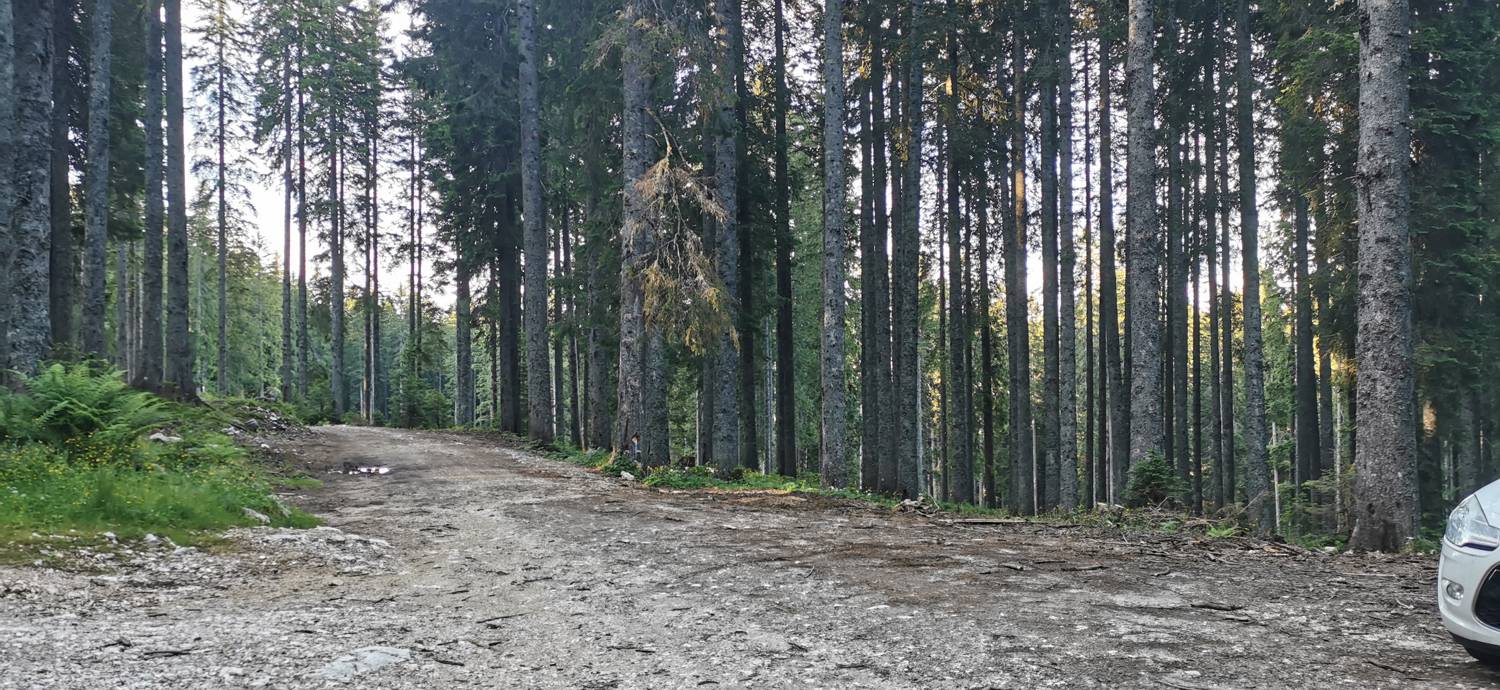 Medvedova konta - Kredarica (Lipanca) slika 2